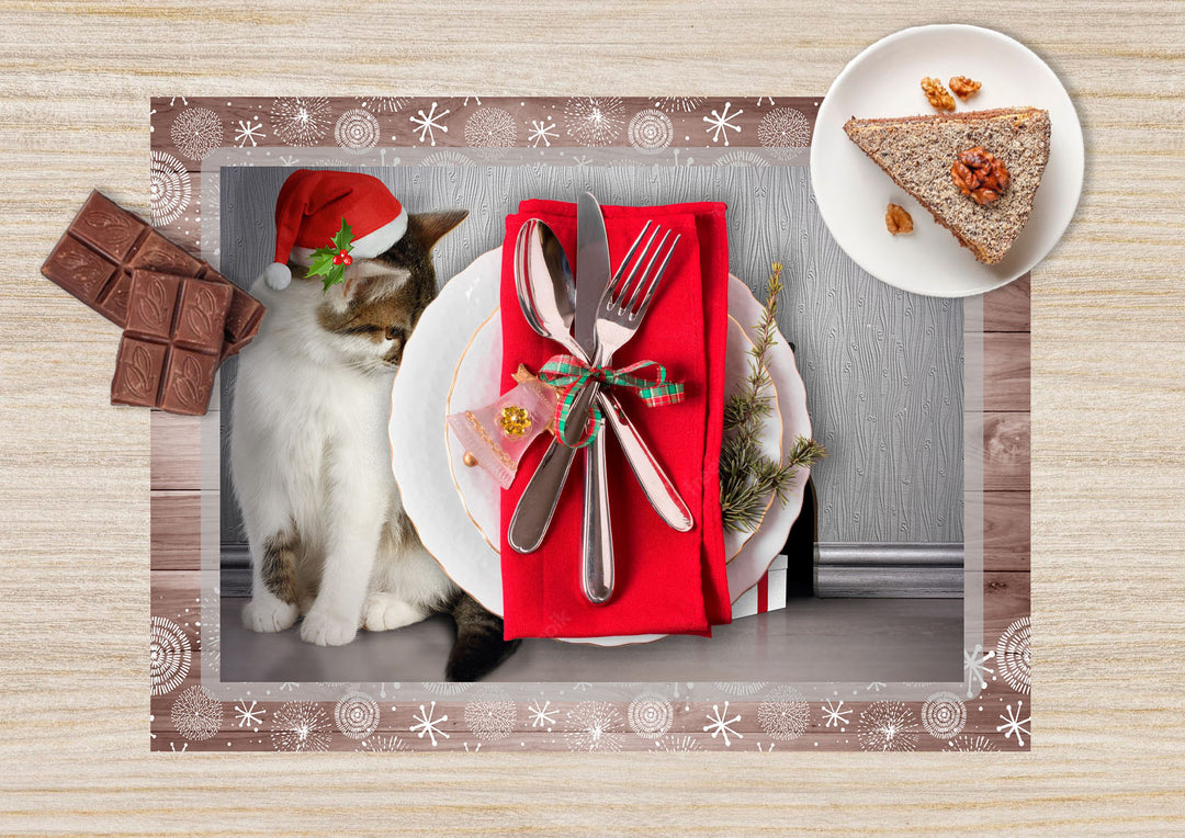 Christmas placemats 36